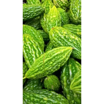 Bitter gourd (8)-2896945-88211.webp
